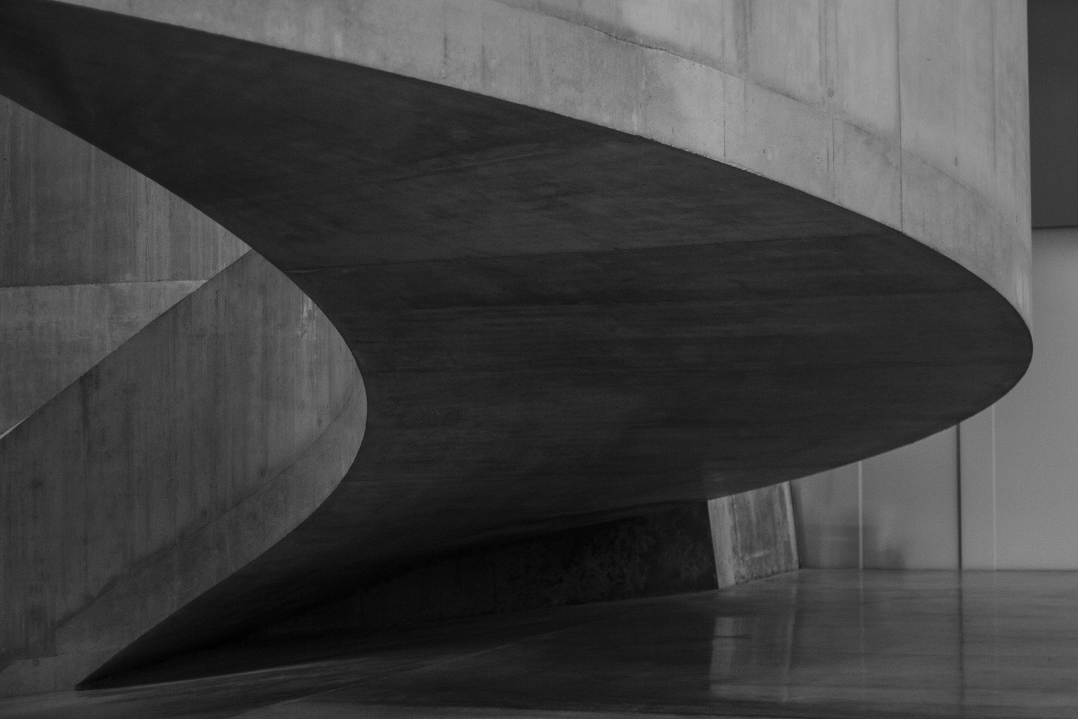 Curved concrete architectural interior in monochrome